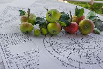 Wall Mural - Printed birth charts with small red apples  in the background on a balcony table