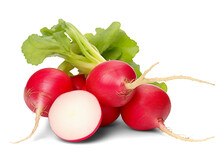 Radish Isolated On Transparent Or White Background, Png