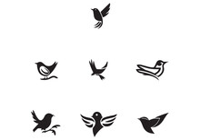 Minimal Style Cuckoo Icon Design Illustration And White Background.eps