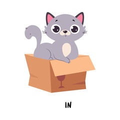 Poster - Little Grey Cat Sitting in Cardboard Box as English Language Preposition for Educational Activity Vector Illustration