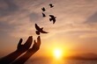 Silhouette's hand and bird flying in beautiful  sky