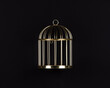golden cage isolated on black background