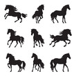 Silhouette horse collection - vector illustration