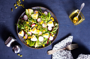 Canvas Print - Spring green salad with egg, radish and onion