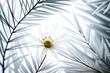 Biały egzotyczny kwiat w otoczeniu liści. Generative AI
