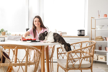 Wall Mural - Young woman with her French bulldog eating muffin in kitchen