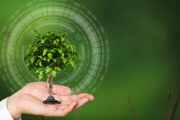 Wall Mural - Hand holding small green tree and energy sources  icons