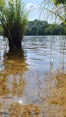 Wall Mural - Beautiful landscape at a lake with a reflective water surface