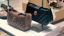 Women's Brown And Black Handbags On The Accessories Store Glass Shelf
