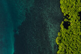 Beautiful Mangrove island landscape and scenery during blue sky, sunrise and sunset from aerial view
