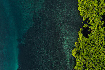 beautiful mangrove island landscape and scenery during blue sky, sunrise and sunset from aerial view