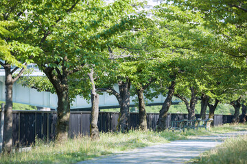 Sticker - 毛馬桜之宮公園の風景