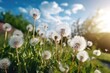 Lot of dandelions close-up on nature in spring. Generative AI