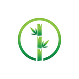 Fototapeta Sypialnia - Bamboo with green leaf logo ilustration vector template