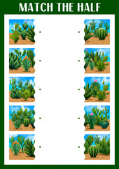Poster - Match the half of mexican prickly cactus succulents. Objects parts matching child game, piece connect or figure fragment search kids puzzle vector worksheet with cactus plants, dessert prickly cacti