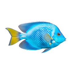 Wall Mural - Fish isolated on white Created with Generative AI