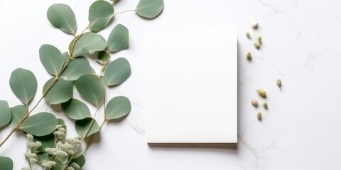 Wall Mural - Minimalist Greeting Card Mockup with Delicate Dry Eucalyptus Leaves - Top View on a Clean White Background,  Generative AI