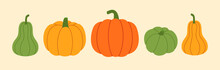 Set Of Pumpkins Of Various Shapes
