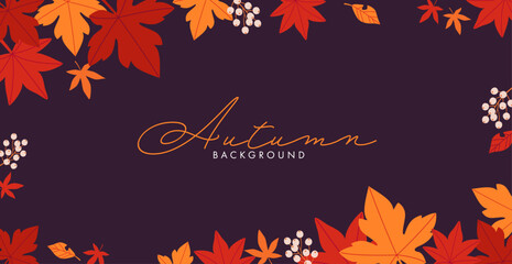 Wall Mural - autumn leaves background design