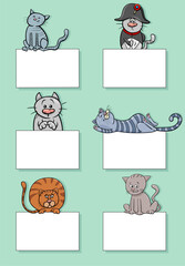 Poster - cartoon cats and kittens with cards design set