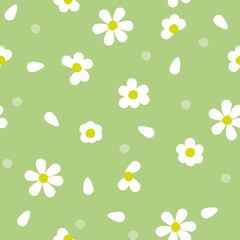 Wall Mural - Vector seamless summer floral pattern with daisies