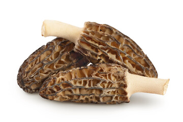 Wall Mural - raw morel mushroom isolated on white background with full depth of field