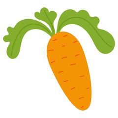 Vector illustration of carrot for print ,design, greeting card,sticker,icon.