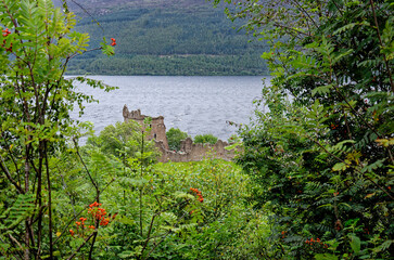 Wall Mural - Ruins of Urquhart Castle - Loch Ness - Scotland