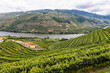 Vista dos vinhedos no Vale do Douro, Régua Portugal
