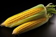 Corn on black background