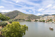 Vista do Vale do Douro em Pinhão Portugal