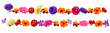 Horizontal border, flowers garlands for Indian religion festive decoration. Panoramic view: aster, chrysanthemum, gerbera, daisy, marigold, orchid. Botanical illustration, watercolor style, vector
