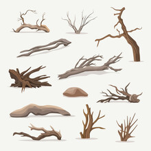 Driftwood Vector Set Isolated On White