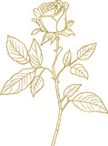 Fototapeta Sypialnia - Rose Gold Glitter Flower Line Drawing Silhouette