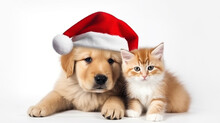 Cute Fluffy Ginger Kitten And Puppy In Santa Claus Hat, Close-up Light Background Copy Space. New Year, Holiday Concept