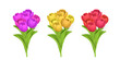 3D Cute spring bunch of tulips in cartoon style. Vector illustration