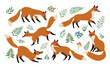 Fox animal watercolor illustration set. Wild cute fox sit and stand elements. Forest animal and herb collection. Red foxes and forest natural floral elements set