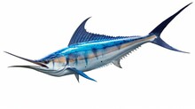 Blue Marlin Swordfish Isolated On A White Background. Generative AI.