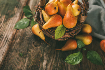 Wall Mural - Healthy organic pears in the basket with copy space. Toned image.