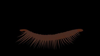 Wall Mural - blinking eye cartoon animation