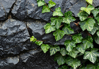 Seamless illustration of stone natural pattern as natural texture of masonry with leaves ivy of plant. Generative AI.