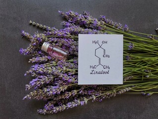 Wall Mural - Structural chemical formula of linalool with fresh lavender flowers and cosmetic glass bottles. Linalool is an aromatic terpene, the major component of essential oils, it is used in floral fragrances.