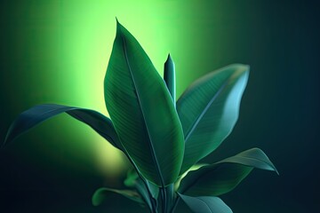 Wall Mural - close-up of a vibrant green plant with textured leaves on a blurred background