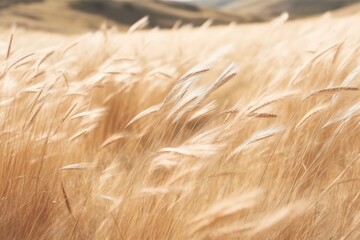 Sticker - serene landscape of mountains and tall brown grass