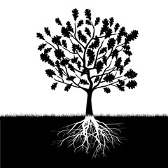 Poster - Illustration silhouette oak tree on a white background.