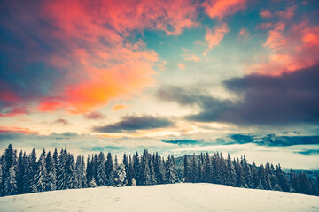 Sticker - Fantastic evening winter landscape with snow slope and pine tree forest. Dramatic sunset pink clouds sky. Nature landscape. Travel background. Retro toning filter. Holiday, travel, sport, recreation