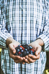 Canvas Print - Organic fruit. Farmers hands with freshly harvested fruit. Fresh organic berries.