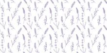 Seamless Floral Pattern With Purple Lavender. Botanical Background