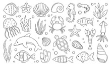 Sea Life Doodle Set. Marine Life Elements. Sea Animals, Fish, Shrimp, Algae, Corals, Turtle, Dolphin In Sketch Style. Hand Drawn Vector Illustration Isolated On White Background