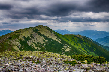 Poster - The landscape on the Carpathian Mountains in Ukraine on a summer day